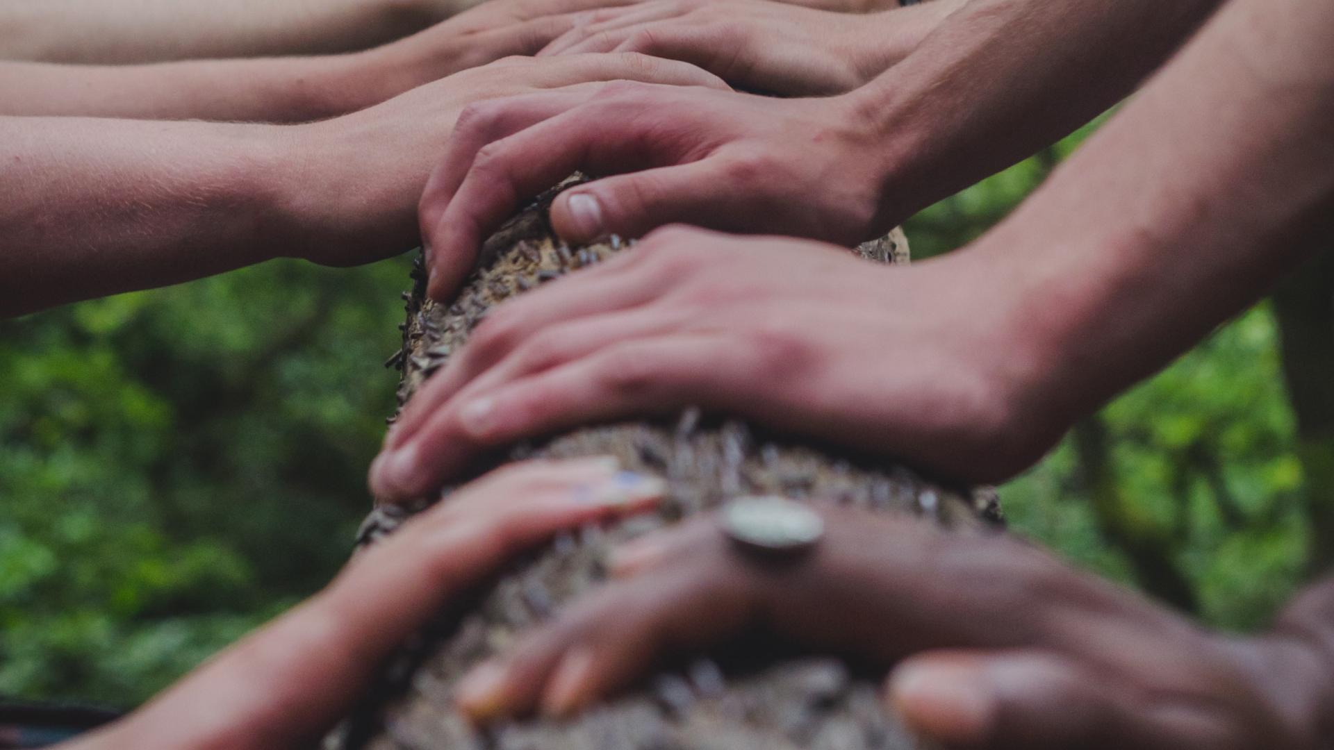 A diverse set of hands on a tree.
